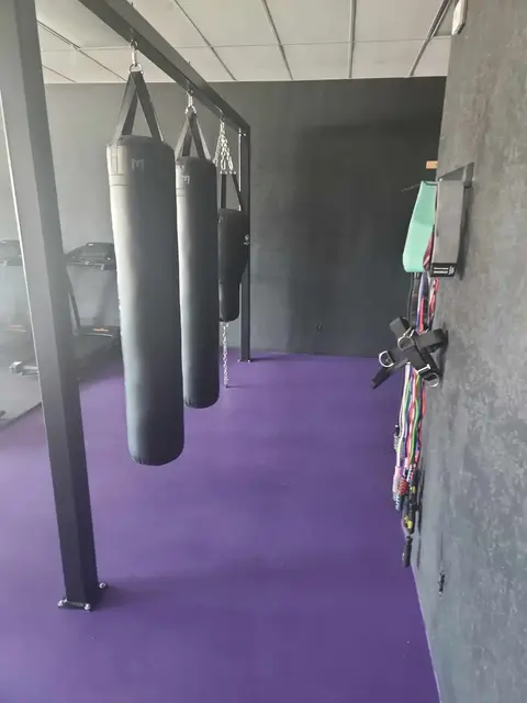 Gallery photo 12